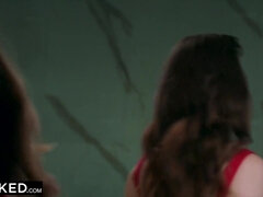 Veľké péro, Brunetka, Péro, Vlasatej, Medzirasové, Výprask, Pička, Realita