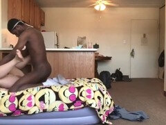 Grosse bite, Noire, Sucer une bite