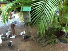 Amatör, Bikini, Svart, Avsugning, Ebenholts, Flickvän, Mager, Tuttar