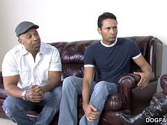 Iso kulli, Musta, Suihinotto, Pettää, Kermakakku, Aisankannattaja