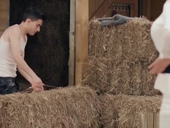 デカ尻, デカパイ, フェラチオ, カワイイ, イマラチオ, ハードコア, 淫乱熟女, オーガズム