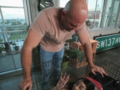 アメリカ人, 舐める尻, フェラチオ, 開帳, なめる, 自然山雀, 小柄, 剃毛