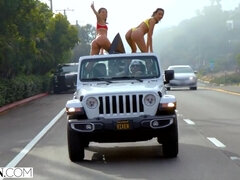 Niogtres, Røvslikning, Pik sutte, Behåret, Latinsk, Slikning, Pornostjerner, Fisse