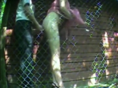 Amateur, Morena, Estilo perrito, Al aire libre, Adolescente