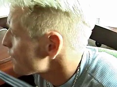 Mačiatko, Veľké kozy, Blondína, Nemecké, Jazdectvo, Ruskej, Vychudnutá, Zastarané