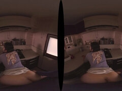 Ázsiai, Tekintélyes didik, Gesztenyebarna, Hd, Japán, Nézőpont