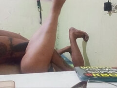 Asijské, Kuřba, Pár, Dospělé