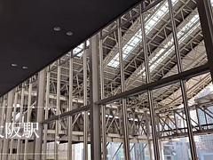 아마추어, 아시안, 일본인