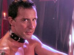 Tekintélyes didik, Szőke, Cumizás, Ondó fröcskölés, Kézimunka, Kőkemény, Szajha, Begyek