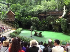 Amatör, Brunett, Fingering, Flickvän, Onani, Utomhus, Fitta, Tuttar