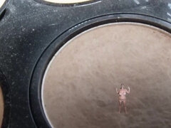 Shrunken Stepsibling Rivalry