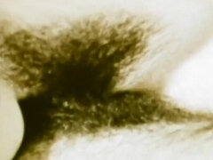 Americano, Mamada, Compilación, Peludo, Madres para coger, Coño, Clasico