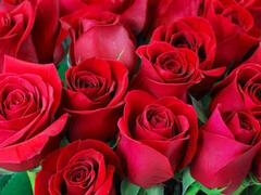 Анальный секс, Из жопы в рот, Большая жопа, Минет, Индианки, Зрелые, Милф, Мачеха