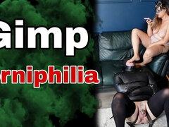 Gimp Forniphilia Femdom Slave