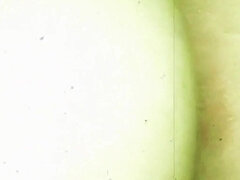 Amateur, Mamada, Casero, Latina, Enano