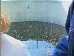 베이비시터, 오랄섹스, 클래식, 음경, 더블 삽입, 다른 인종간의, 청소년