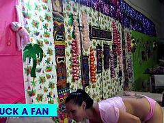 Amatőr, Tekintélyes didik, Szőke, Cumizás, Gesztenyebarna, Kőkemény, Nyalás, Begyek