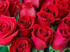 Zadek k puse, Teta, Velký zadek, Indické, Dospělé, Milf žcbp, Mamina, Nevlastní máma