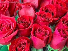 Anal, Da bunda para a boca, Bundão, Boquete, Maduroa, Mãe gostosa, Mamãe, Madrasta