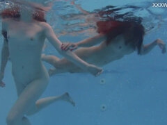 Popó, Tekintélyes didik, Gesztenyebarna, Fétis, Medence, Orosz, Tini, Víz alatt