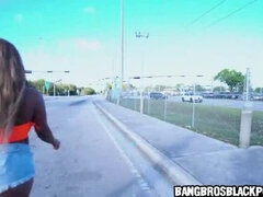 Hatalmas hátsó, Tekintélyes didik, Fekete, Ébenfekete