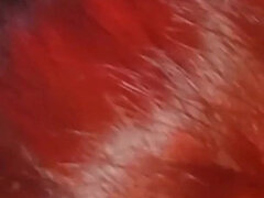 18 летние, Анальный секс, Жопа, Минет, Брюнетки, Европейки, От первого лица, Молоденькие