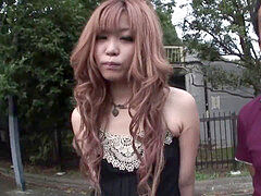 Kuřba, Vlasaté, Japonské, Venku, Zrzavé, Kuřba sání, Teenka