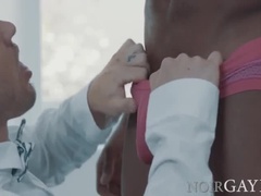 Pauzão, Ébano negroa, Gay bicha veado, Interracial