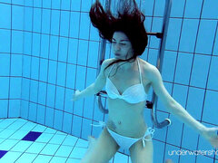 Mekko, Eurooppalainen, Venäläinen, Tatuointi, Veden alla