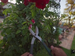 Amateur, Negro, Polla, Tetas naturales, Perforación, Piscina, Coño, Voyeur