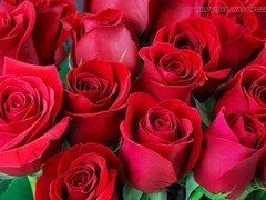 Bangladeshi bhabhi makes your fantasies come true with her big natural assets