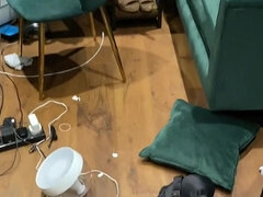 Amatéri, V zákulisia