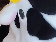 Amateur, Grosse bite, Sucer une bite, Tir de sperme, Pov, Chevaucher