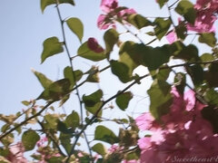 Жопа, Брюнетки, Лесбиянка, Лизание, Массаж, Натуральные сиськи, Киски, Сиськи