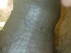 Amatorka, Indyjski, Solo