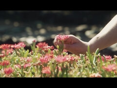 D'Amour - Emylia Argan & Eric El Gran