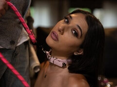 18 éves, Hatalmas hátsó, Monumentális dákó, Tekintélyes didik, Cumizás, Kutya póz, Vékony, Tini