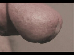 Amatőr, Fétis, Kőkemény, Maszti, Érett feleség, Egyedül