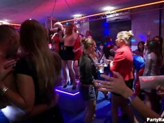 Pik sutte, Kvinde, Håndjob, Imellem racer, Læder, Lingerie, Fest, Swingers