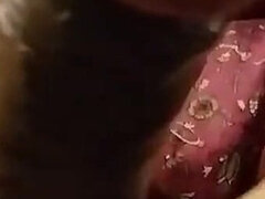 Homemade Romantic Hot Video Sucking Cock