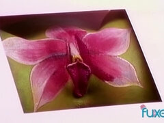 Πρωκτικό, Χύσιμο, Στο πρόσωπο, Θηλυκό θηλυκό αρσενικό, Ώριμη γυναίκα, Εκτός, Δημόσιο, Τρίο