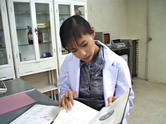 Amatőr, Tekintélyes didik, Fétis, Szőrös, Kőkemény, Japán, Szajha, Begyek