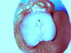 Amateur, Anal, Bondage domination sadisme masochisme, Grosse bite, Sucer une bite, Homosexuelle, Hard, Masturbation