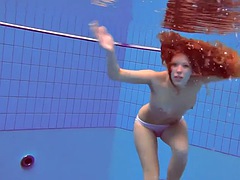 Kisbaba, Tekintélyes didik, Gesztenyebarna, Fétis, Medence, Nyilvános, Orosz, Begyek