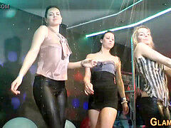 breezy toyed at glam hump