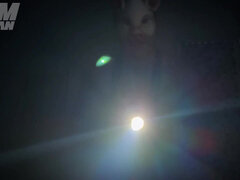 Perverted Pig Countdown Prits and Instructions