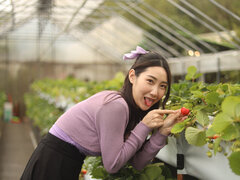 Asiatisk, Avsugning, Japansk