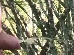 Amatorka, Na wolnym powietrzu, Sikanie, Solo