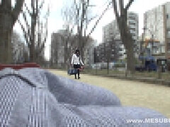 Ázsiai, Cumizás, Kőkemény, Japán, Nuni, Begyek