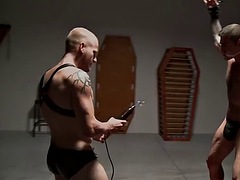 Amador amadora, Bondage disciplina dominação submissão sadismo e masoquismo, Fetiche, Gay bicha veado, Músculo